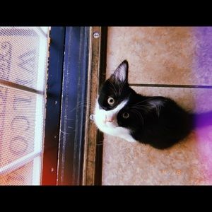 Meet your Posher, Lucia